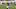 Michigan State football Michigan State football