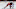 New Jersey Devils New Jersey Devils