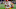 Kansas City Chiefs mock draft, Drake London Kansas City Chiefs mock draft, Drake London