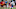Buffalo Bills Buffalo Bills