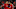 Liverpool Tottenham Hotspur Roberto Firmino Mohamed Salah Liverpool Tottenham Hotspur Roberto Firmino Mohamed Salah