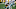 Dallas Cowboys Dallas Cowboys