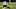 Philadelphia Eagles Philadelphia Eagles
