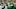 Mike McCarthy, Green Bay Packers. (Photo by Dylan Buell/Getty Images) Mike McCarthy, Green Bay Packers. (Photo by Dylan Buell/Getty Images)