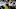 Green Bay Packers