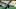NFL NFL