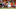NFL: Preseason-Cleveland Browns at Tampa Bay Buccaneers NFL: Preseason-Cleveland Browns at Tampa Bay Buccaneers