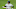 Chicago Cubs Clint Frazier Chicago Cubs Clint Frazier