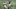 Atlanta Falcons (Photo by Kevin C. Cox/Getty Images) Atlanta Falcons (Photo by Kevin C. Cox/Getty Images)