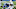 Kentucky football Kentucky football
