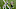 Philadelphia Eagles Philadelphia Eagles