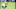Masters Bernhard Langer Masters Bernhard Langer