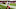 Chicago Bears v San Francisco 49ers Week 16 recap Chicago Bears v San Francisco 49ers Week 16 recap