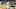 DraftKings DraftKings