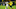 DORTMUND, GERMANY – JANUARY 24: Jhon Cordoba of 1. FC Koeln battles for possession with Mats Hummels of Borussia Dortmund during the Bundesliga match between Borussia Dortmund and 1. FC Koeln at Signal Iduna Park on January 24, 2020 in Dortmund, Germany. (Photo by Dean Mouhtaropoulos/Bongarts/Getty Images) DORTMUND, GERMANY – JANUARY 24: Jhon Cordoba of 1. FC Koeln battles for possession with Mats Hummels of Borussia Dortmund during the Bundesliga match between Borussia Dortmund and 1. FC Koeln at Signal Iduna Park on January 24, 2020 in Dortmund, Germany. (Photo by Dean Mouhtaropoulos/Bongarts/Getty Images)