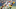 Wide receiver Davante Adams #17 of the Green Bay Packers (Photo by Patrick McDermott/Getty Images) Wide receiver Davante Adams #17 of the Green Bay Packers (Photo by Patrick McDermott/Getty Images)