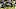 Minnesota Vikings Minnesota Vikings