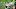 New England Patriots New England Patriots