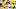 Brandon Scherff, Washington Football Team