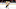 Detroit Red Wings, Red Wings, Tyson Barrie Detroit Red Wings, Red Wings, Tyson Barrie
