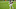 Chicago Bears, Todd Gurley Chicago Bears, Todd Gurley