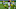 Green Bay Packers
