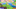 Animal Crossing: New Horizons