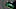 DOVER, DELAWARE – OCTOBER 05: Kyle Larson, driver of the #42 Clover Chevrolet, qualifies for the Monster Energy NASCAR Cup Series Drydene 400 at Dover International Speedway on October 05, 2019 in Dover, Delaware. (Photo by Jeff Zelevansky/Getty Images)