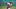 Chicago White Sox Chicago White Sox