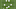 Spurs - Football tactics and formations