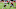 Chicago Bears, Jordan Howard Chicago Bears, Jordan Howard