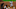 DraftKings DraftKings