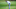 PGA Tour PGA Tour