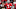 Dwayne Haskins, NFL Draft, 2019 NFL Draft Dwayne Haskins, NFL Draft, 2019 NFL Draft