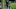 Sandy Wexler - Adam Sandler Netflix movies Sandy Wexler - Adam Sandler Netflix movies