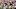 CHESTNUT HILL, MA – SEPTEMBER 09: Quarterback Anthony Brown