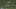 GIF via Zombie Prophet (@ZProphet_MMA) GIF via Zombie Prophet (@ZProphet_MMA)