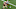 2019 NFL draft prospects Tommy Sweeney (Photo by Maddie Meyer/Getty Images) 2019 NFL draft prospects Tommy Sweeney (Photo by Maddie Meyer/Getty Images)