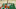 Phoenix Suns Phoenix Suns