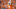 Tennessee wide receiver Jalin Hyatt (11) celebrates during a game between Tennessee and Alabama in Neyland Stadium, on Saturday, Oct. 15, 2022.Tennesseevsalabama1015 3369