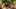 Survivor Ghost Island Episode 9 Donathan Laurel Desiree Chelsea Kellyn Survivor Ghost Island Episode 9 Donathan Laurel Desiree Chelsea Kellyn