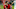 Toronto FC Alejandro Pozuelo Pablo Piatti