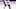 Detroit Red Wings Detroit Red Wings