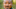 The Walking Dead;AMC;Seth Gilliam as Father Gabriel The Walking Dead;AMC;Seth Gilliam as Father Gabriel