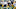 Notre Dame football Notre Dame football