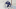 Tampa Bay Lightning Tampa Bay Lightning
