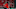 Arsenal, Diogo Goncalves Arsenal, Diogo Goncalves