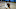 LA Clippers Marcus Morris Zion Williamson LA Clippers Marcus Morris Zion Williamson