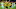 Erling Haaland’s brace sealed a comfortable win for Borussia Dortmund (Photo by INA FASSBENDER/AFP via Getty Images) Erling Haaland’s brace sealed a comfortable win for Borussia Dortmund (Photo by INA FASSBENDER/AFP via Getty Images)