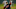Cleveland Indians Cleveland Indians